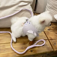 Dog Harness and Leash Set /All-in-One Dog Harness and Leash [Pet supplies]