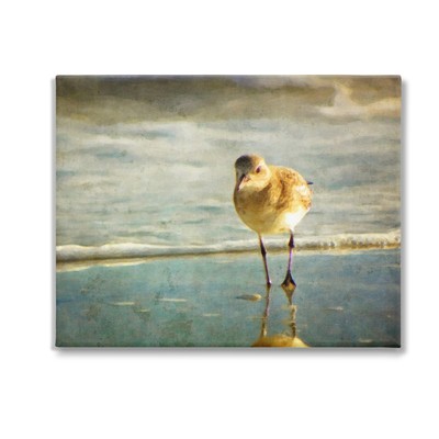 Stepping Sandpiper at Shore Canvas Wall Art by GraffiTee Studios