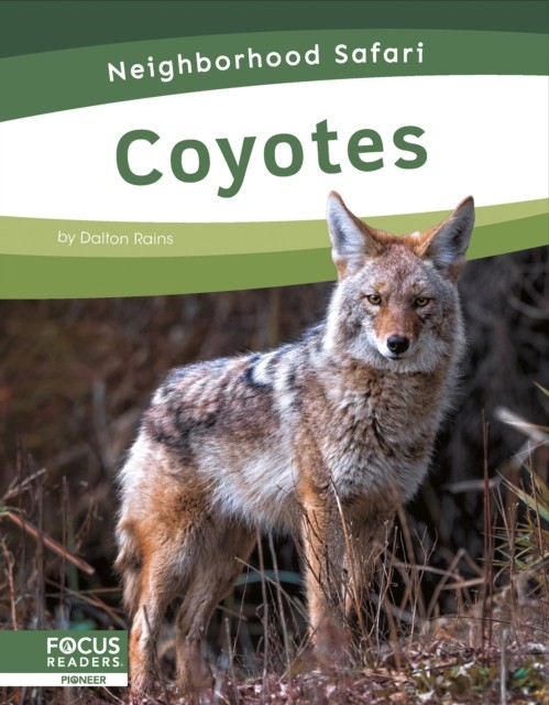 Coyotes by Dalton Rains (Hardback Book)