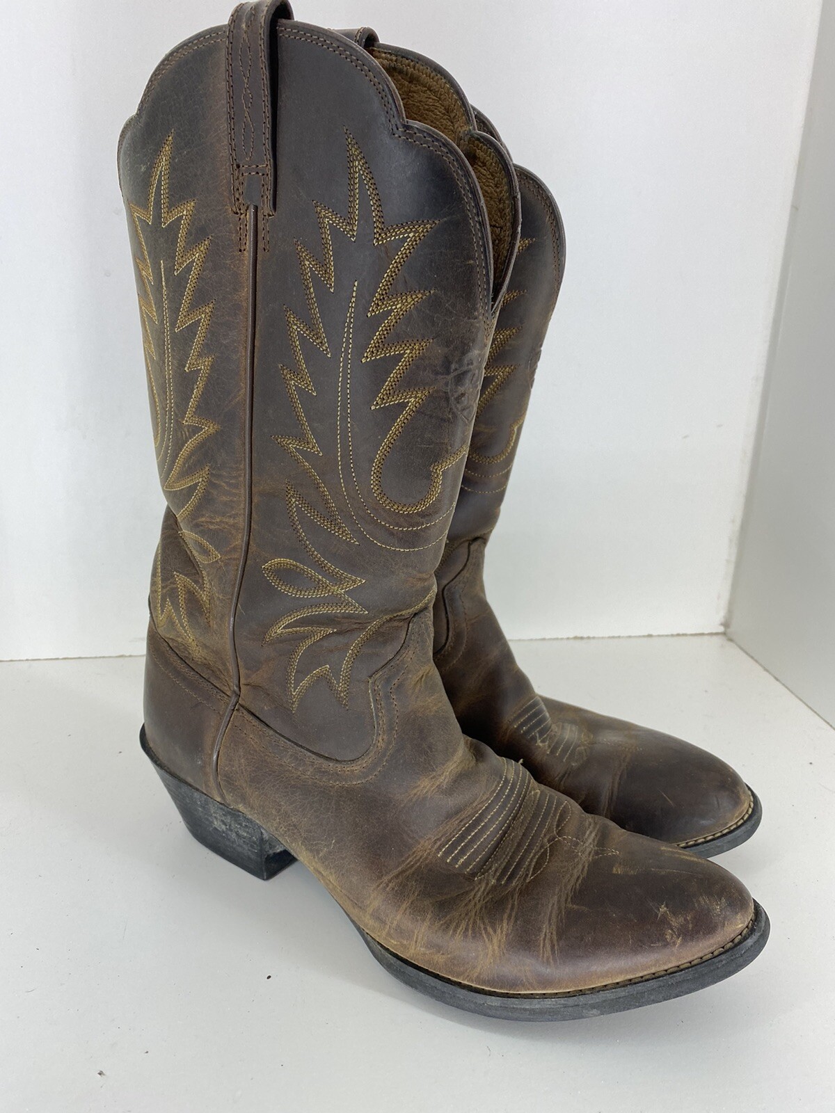 ariat style 15725