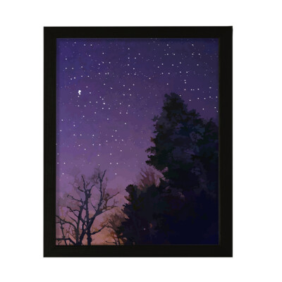 Designs ByLITA Night Time Wonders, Wall Print Art | Beautiful Flowers
