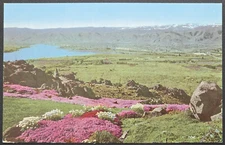 Wenatchee Valley WA Union Oil 76 Natural Color Scenes of the West Postcard