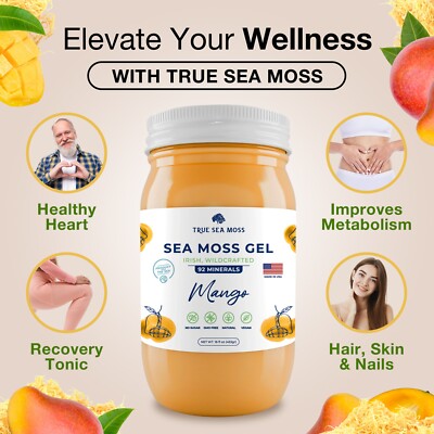 Wildcrafted Irish Sea Moss Gel | Made with Dried Seaweed Seamoss | Mango