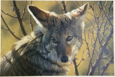 Carl Brenders  Home Field Advantage - Coyote  Signed LE Print 468/650 COA 