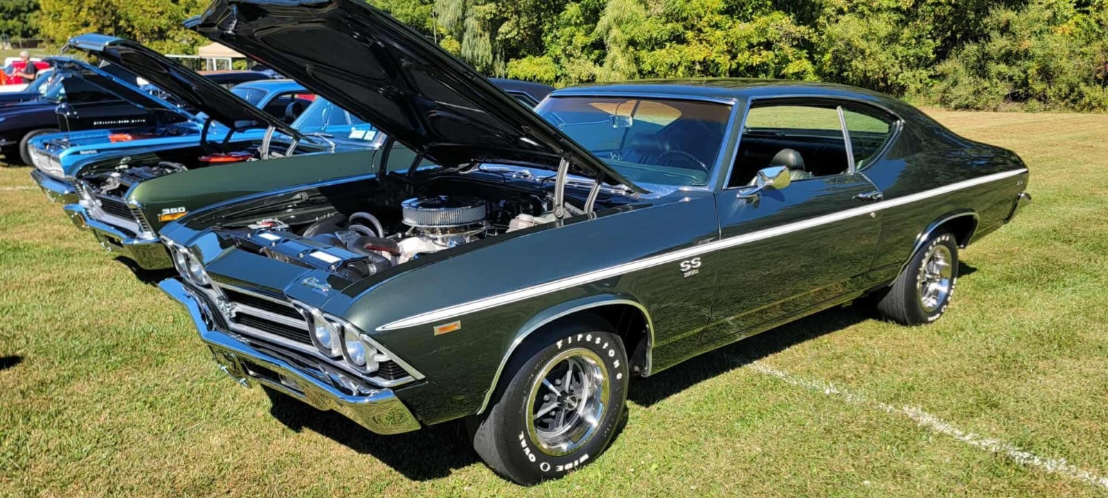 1969 Chevrolet Chevelle for sale in Dover Plains New York