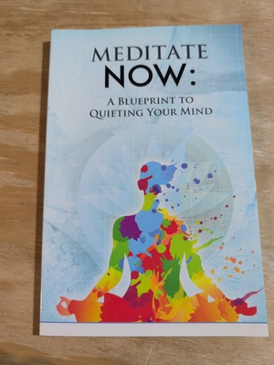 #ad Meditate Now : A Blueprint to Quieting Your Mind by The Alternative Daily and... $49.99