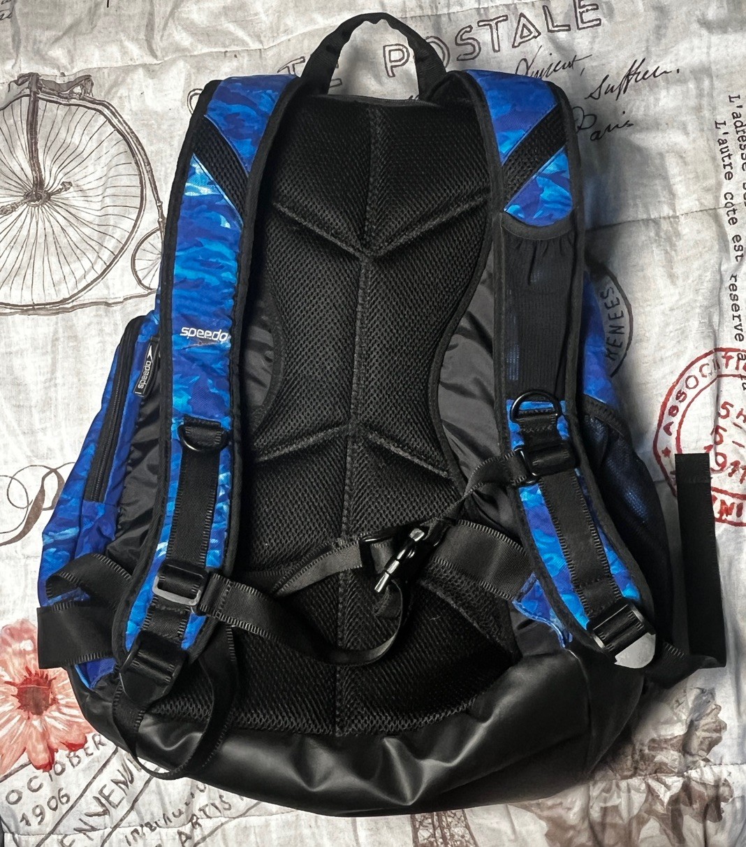 Speedo Teamster 35L Swim Backpack Royal Blue Kickboard Wet Bag Large Padded Back