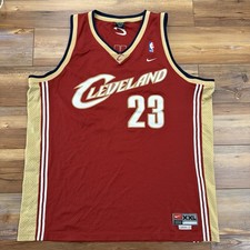 Red Lebron James Cleveland Cavaliers Nike Swingman NBA Jersey