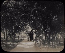 Glas Magic Laterne Dia KAIRO - ORANGE GARDEN - OLD CAIRO C1900 FOTO ÄGYPTEN