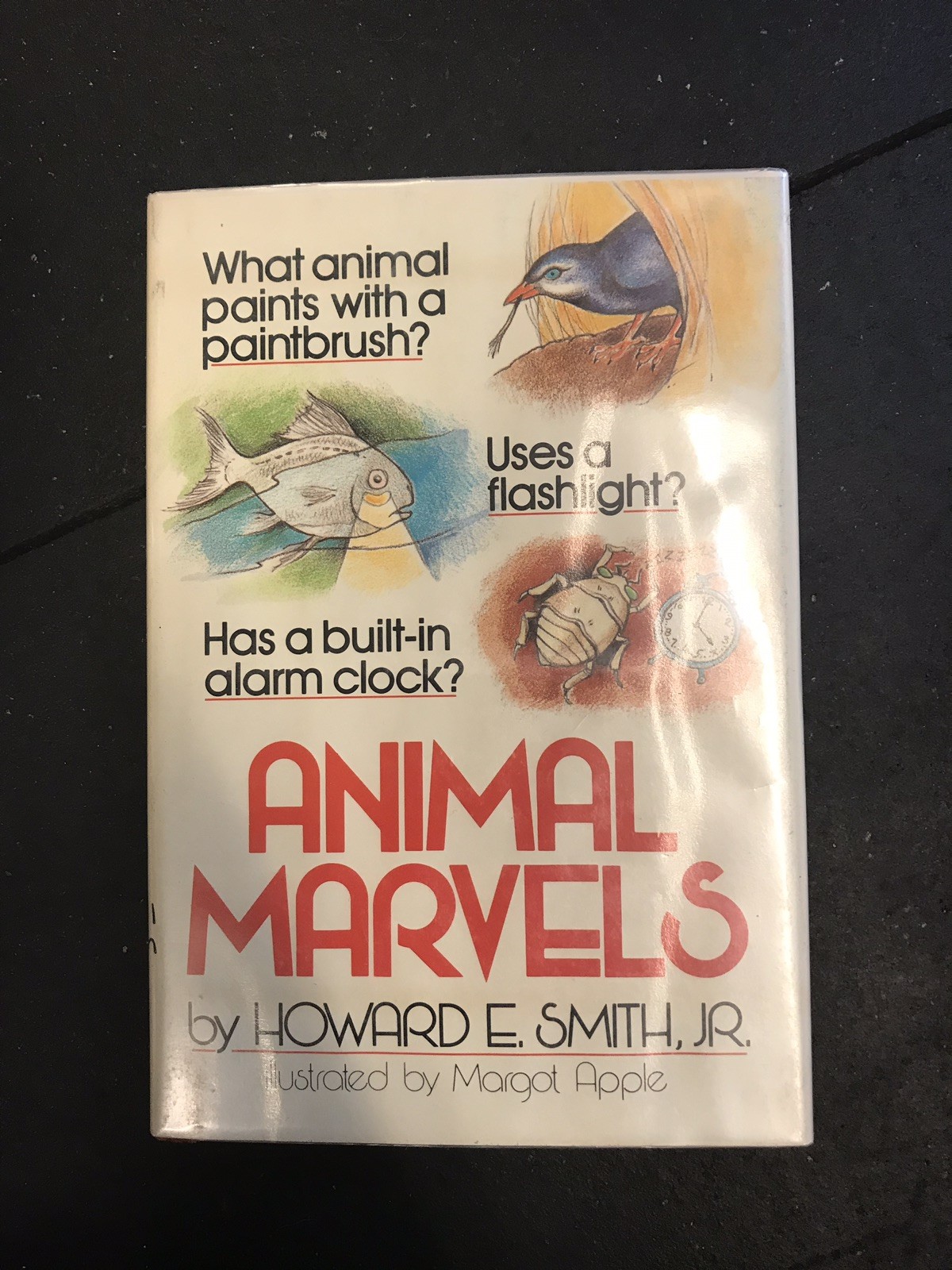 Animal Marvels Book 1981 Hardcover Vintage