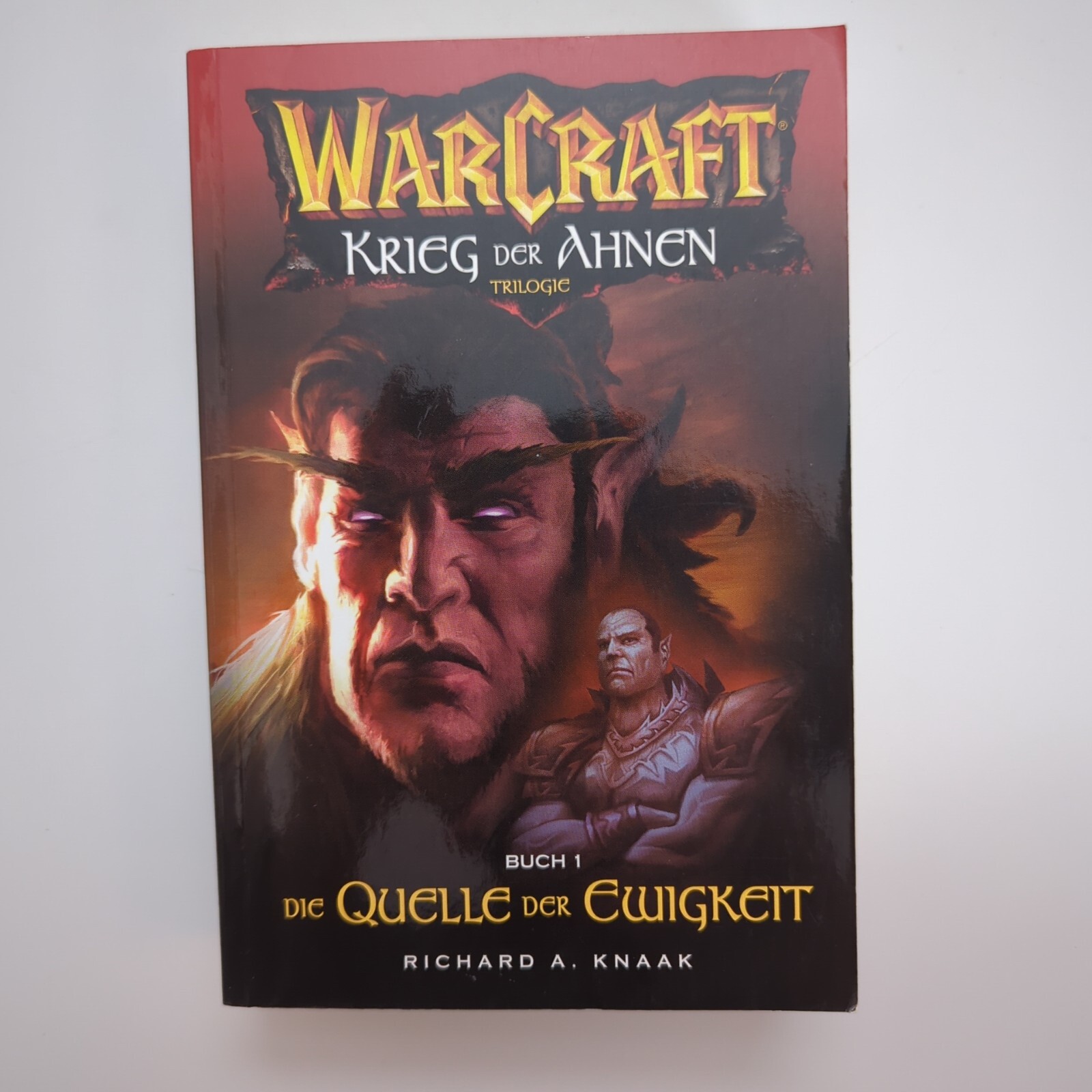 Warcraft Die Quelle Der Ewigkeit Buch Band 1 Trilogie Richard A Knaak | Sehr Gut