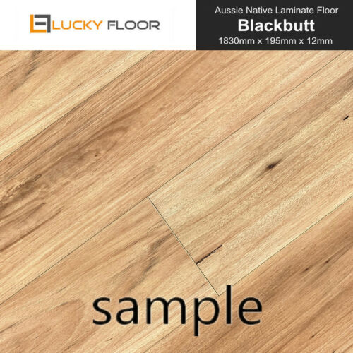 12mm AC4 High Gloss Blackbutt Laminate Flooring Sample Floating Timber Floor DIY - Picture 1 of 6