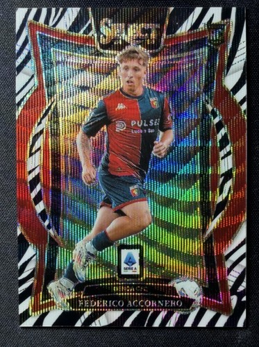 Federico Accornero 2024-25 Panini Select Serie A Terrace Zebra Prizm RC #45