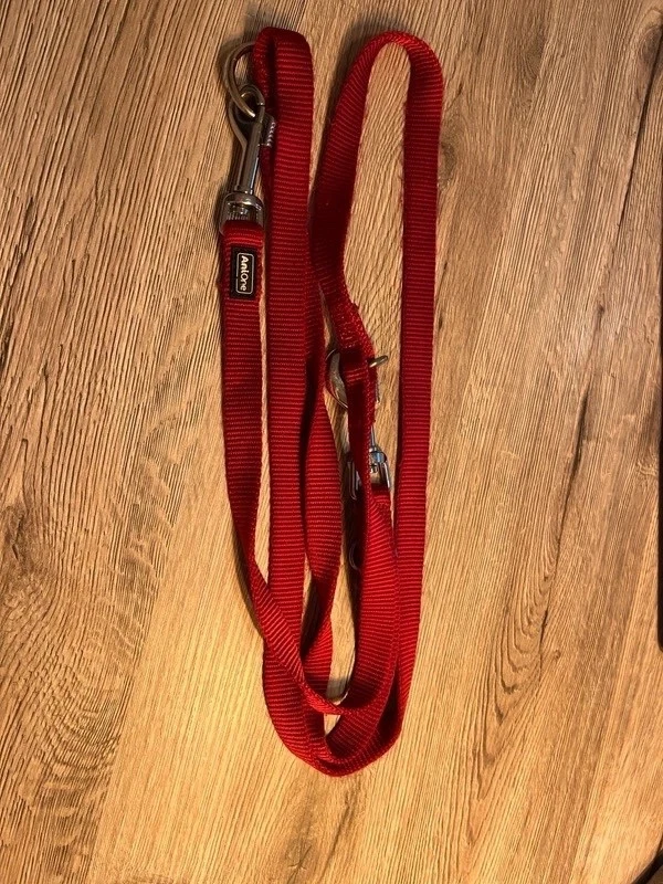 Anione in Hundeleinen online kaufen | eBay.de