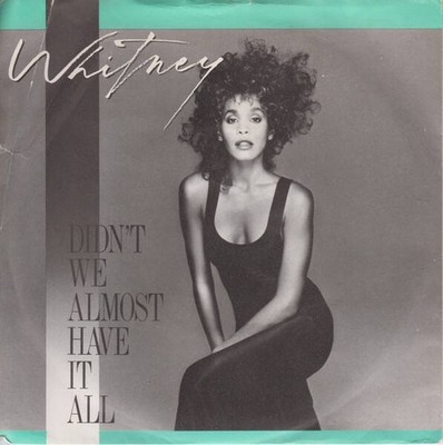 Whitney Houston - Didn't We Almost Have It All (VINYL)