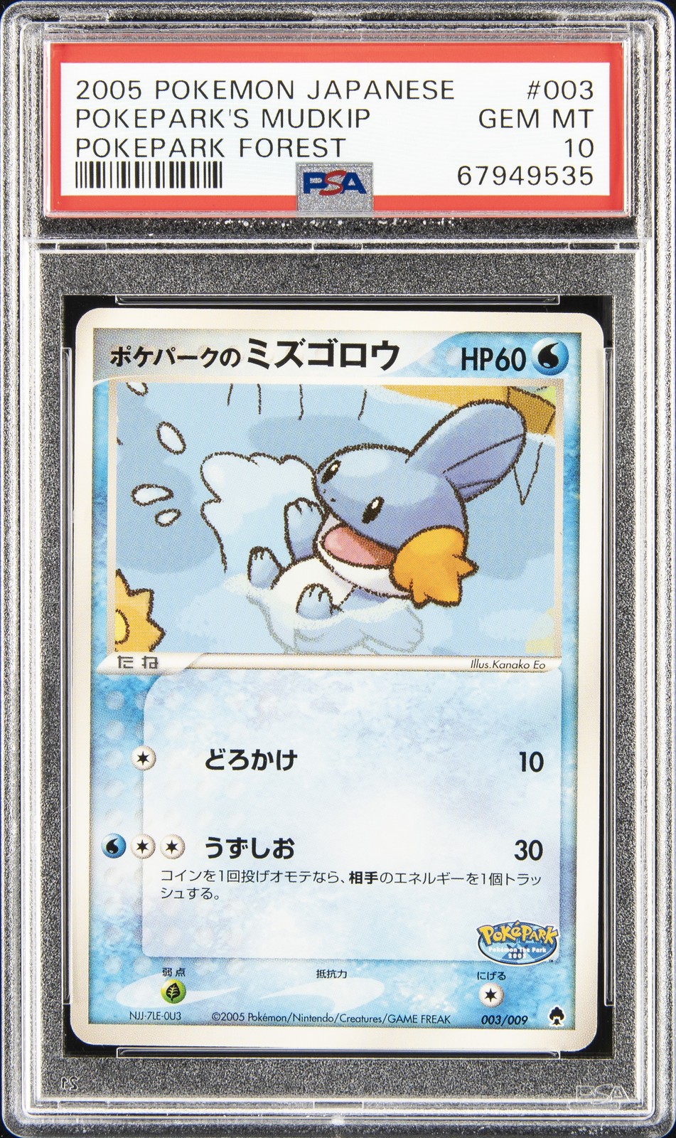 2005 POKEMON JPN POKEPARK FOREST #003 POKEPARK'S MUDKIP PSA 10