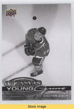 2025 Upper Deck Series 1 UD Canvas Young Guns Black & White Colton Dach READ 2y5