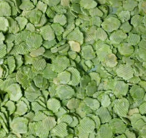 Micronized FLAKED PEAS Dried Flaked Peas Rabbit Food Small Animal