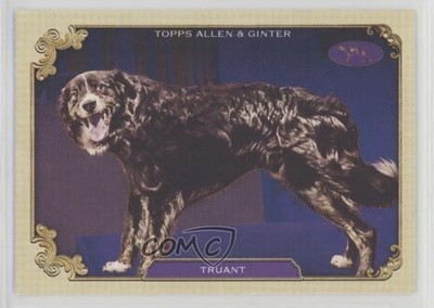 2024 Topps Allen & Ginter Best in Show Truant #SOS-4 us8