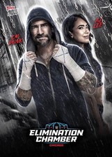 2017 Topps Now WWE Trading Cards 19