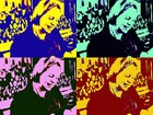 petras_kreativideen