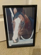 SHERGAR PRINT horse A4 equestrian