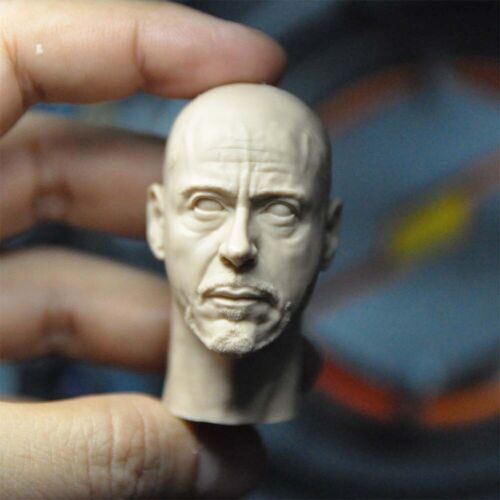 Unpainted 1/6 Scale Iron Man Tony Stark Bald Head Sculpt PVC Head Model Toy  - Picture 1 of 3
