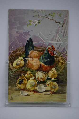 Postcard Bright Happy Easter Hen Baby Chicks Basket 1909 Tuck Art Series 6370 - Picture 2 of 5