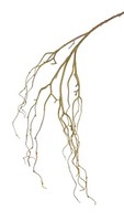 artplants KüNstlicher Zweig Trauerweiden Tally, GrüN-Braun, 105Cm