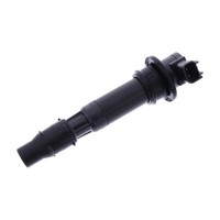 ZüNdspule Originalersatzteil FüR Triumph Bonneville 900 EFI T100 Black ABS 18-19