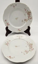 2 Antique O.P. Co Syracuse China Pink Floral Dessert Plates 7" Restaurant Ware