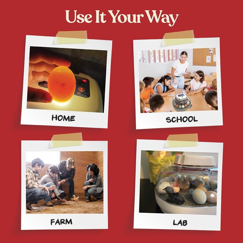 Slide 5