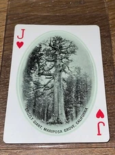 Vintage Antique 1906 U.S. Playing Card Co. Mariposa Grove, Playing Card RARE