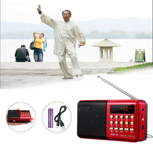 Digital Radio Tragbares FM Radio MP3 Lautsprecher Player mit Batterie USB Kabel - Bild 6 von 17