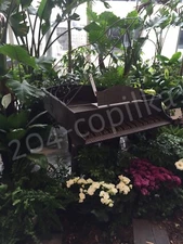 Digital Image Picture Photo Wallpaper Background Natural Desktop Art # 953