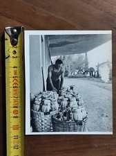 Valpolicella (Verona) fiaschi di vino in una cantina nel 1959 fotografia animata