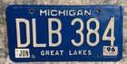Michigan Great Lakes License Plate June 1996 Tabs - DLB 384 - 99 cent sale — photo 1