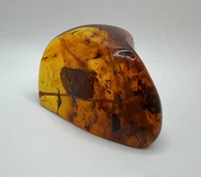 476ct Free-Form Natural Amber With Leaf Inclusion - $4000 Appraisal Included