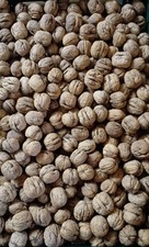 Walnüsse Groß, Neue Ernte 2025, Bioqualität