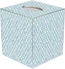 TB2448 - Berkley Aqua Tissue Box Cover