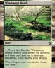 Khans of Tarkir #248 Windswept Heath