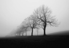 Landscape mist silhouette nature fall monochrome white Custom Gaming Mat Desk