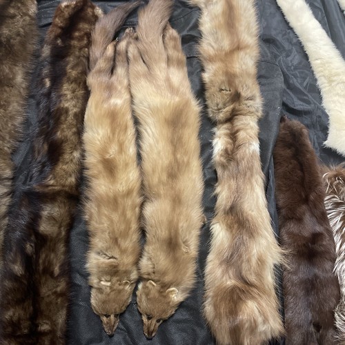 Vintage Lot of 14 Fur Collars for Coat or Sweater - Sable Fox Sheared Mink &More - 第 7/10 張圖片