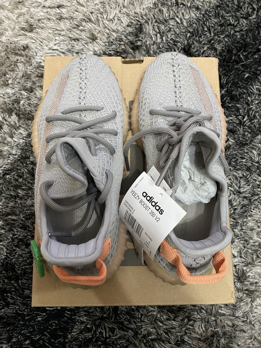 Adidas Yeezy Boost 350 V2 True Form Size 4UK Brand New