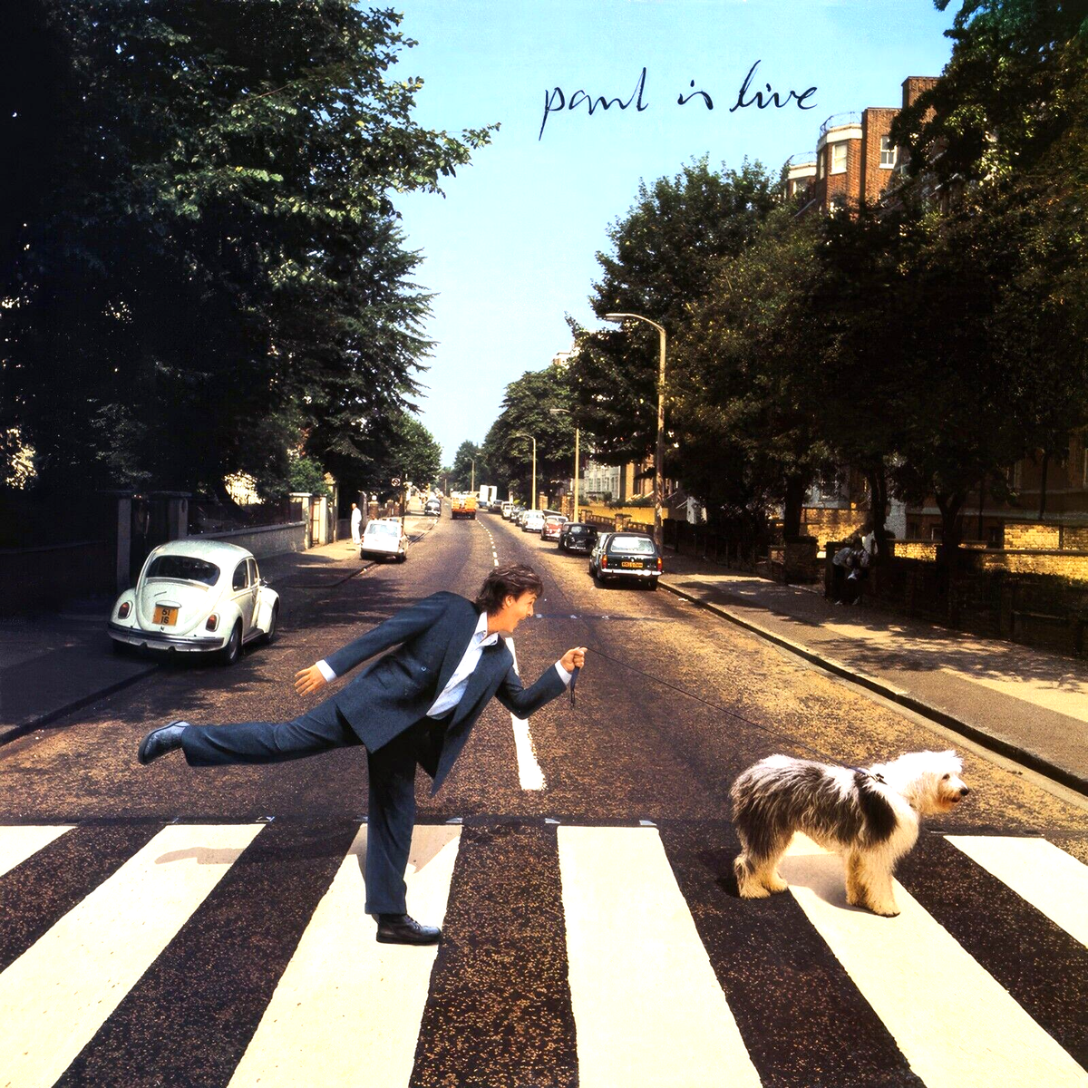 Paul McCartney Paul Is Live 12x12 Album Cover Replica Poster Gloss