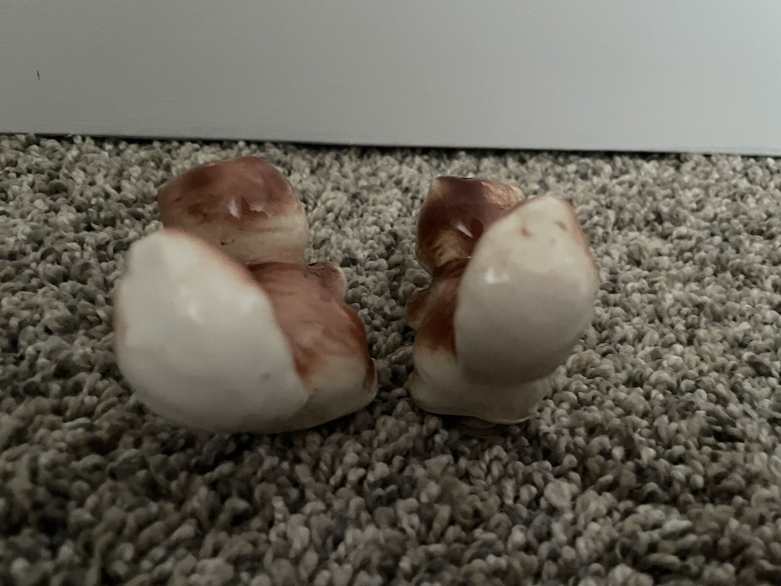 Picture 6 of 11