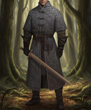 Medieval Long Gambeson Costume   Quilted LARP Ren Faire Jacket