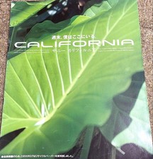 Nissan Sunny California Catalog