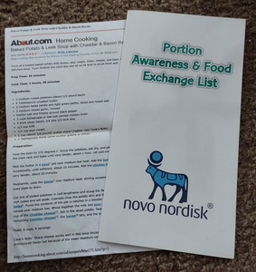 3 FOLD LEAFLET  PORTION AWARENESS & FOOD EXCHANGE LIST NOVO NORDISK