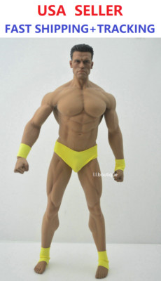 PHICEN M34 1/6 Seamless Male Muscular Body w/ Arnold Schwarzenegger HEAD SCULPT